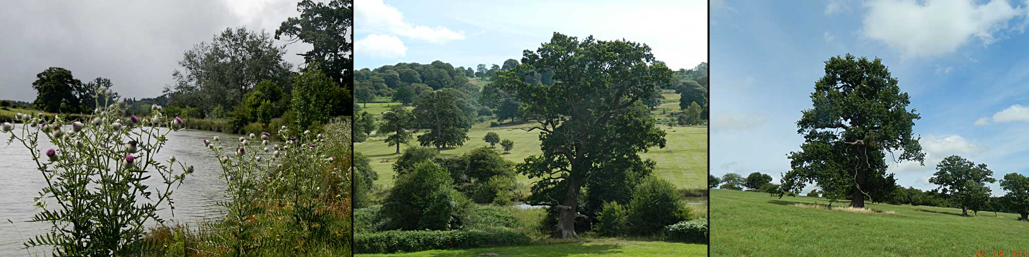 Eastnor Donnington Parish Council
