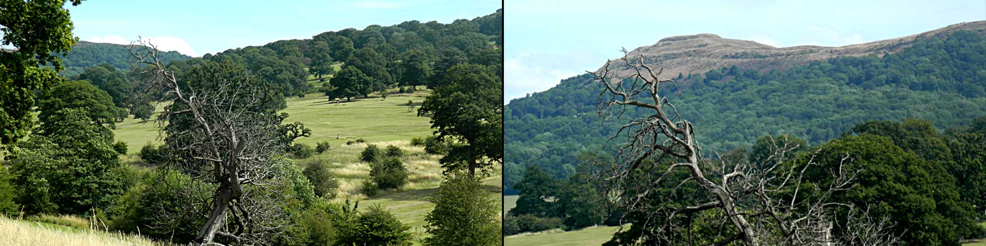 Eastnor Donnington Parish Council